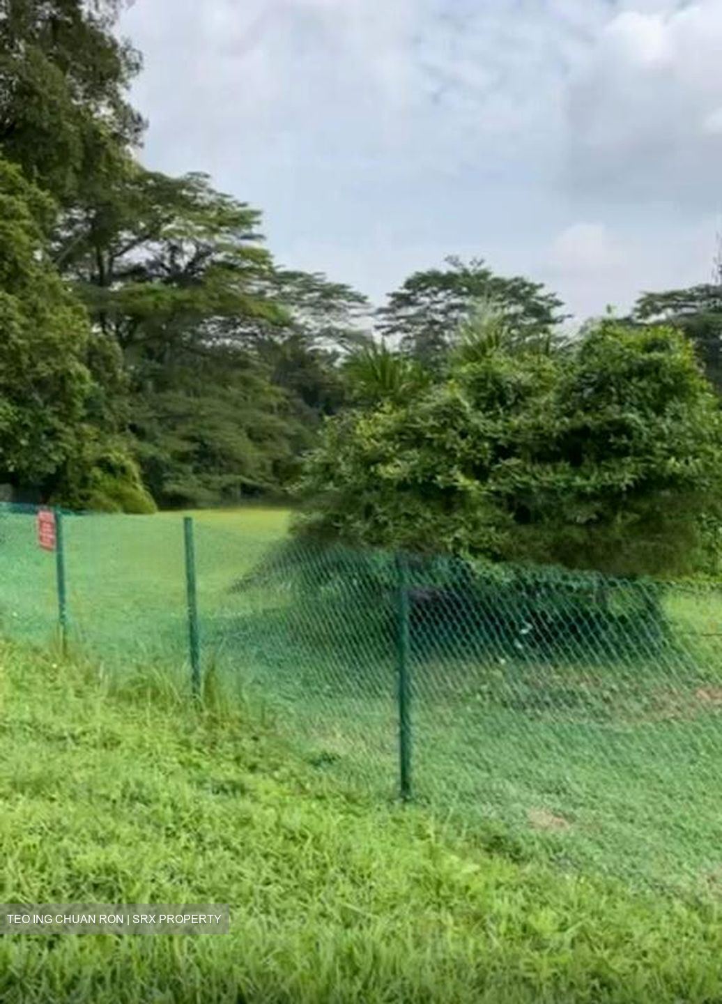 Tanglin Hill (D10), Detached #458917031